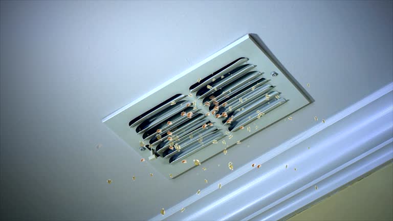 Best HVAC System Cleaning  in Makaha, HI