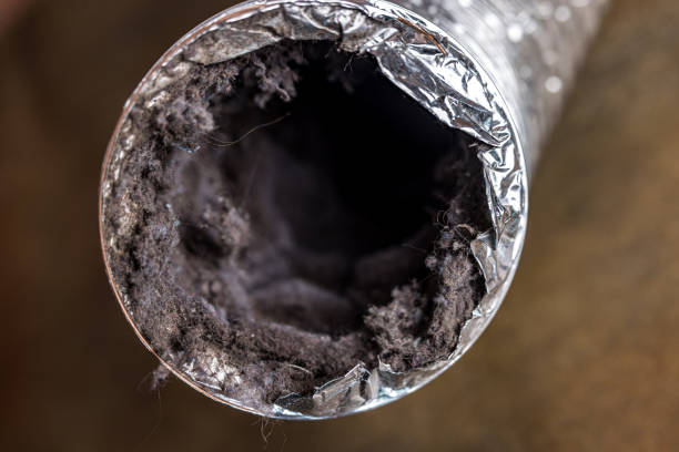 Best Ventilation Cleaning Services  in Makaha, HI